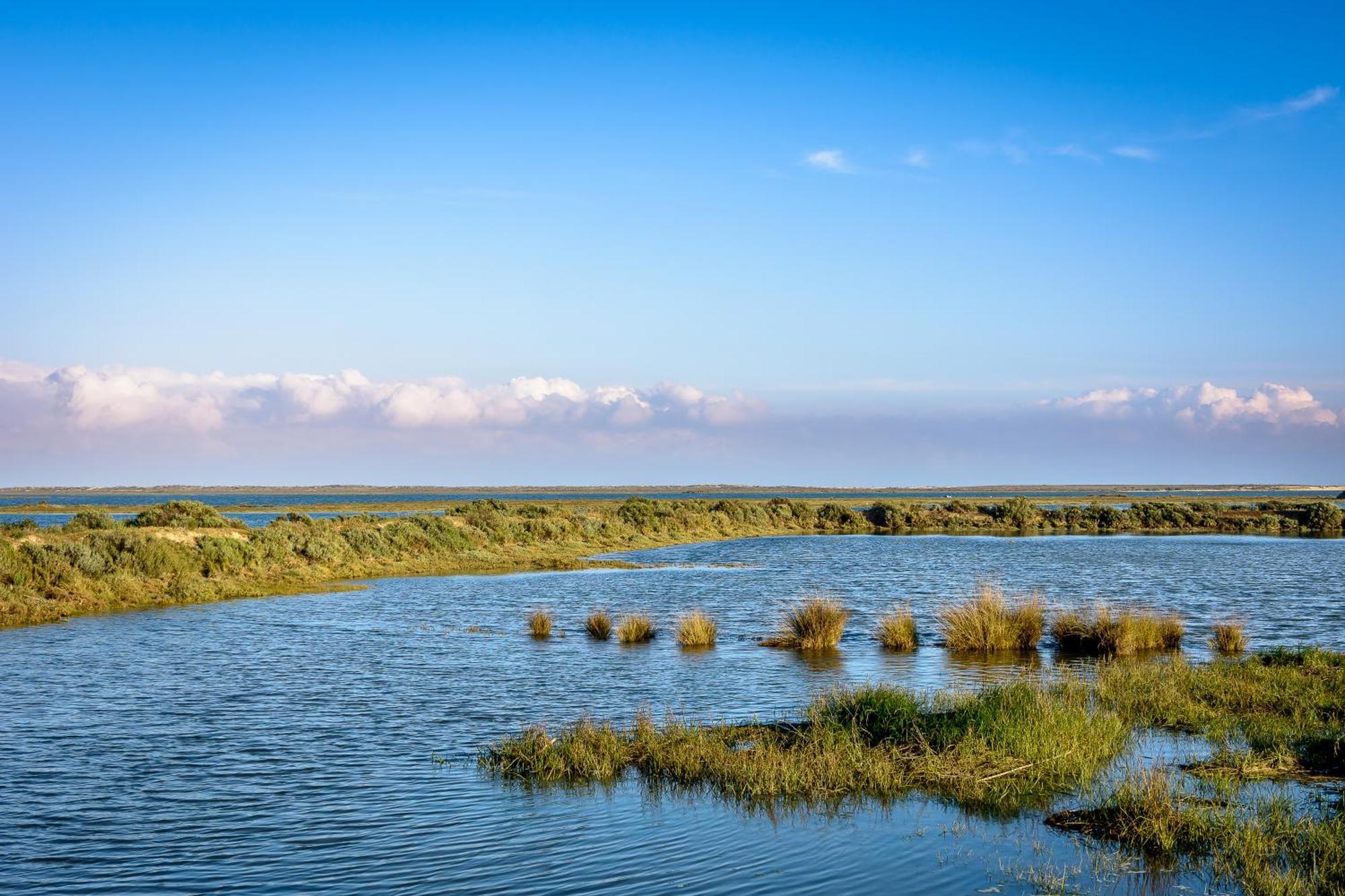 Pedras D'El Rei Ξενοδοχείο Ταβίρα Εξωτερικό φωτογραφία
